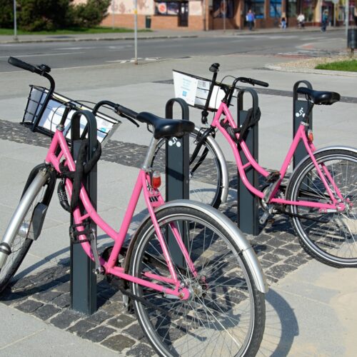Fietsenrek model Santo 19 Fietsenrek - aanleunbeugel Santo. Ideaal om uw fiets tegen aan te parkeren en een lust voor het oog.